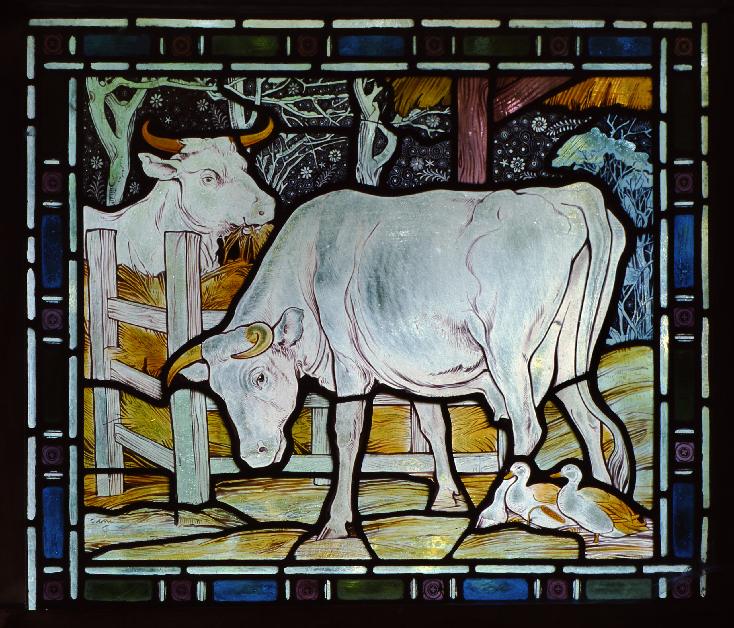 stained glass image of 2 white cows