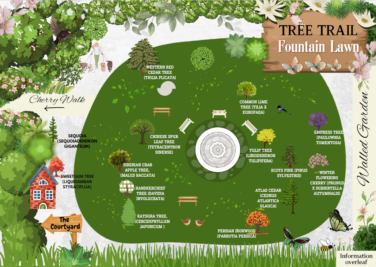 Map of trees around the fountain lawn