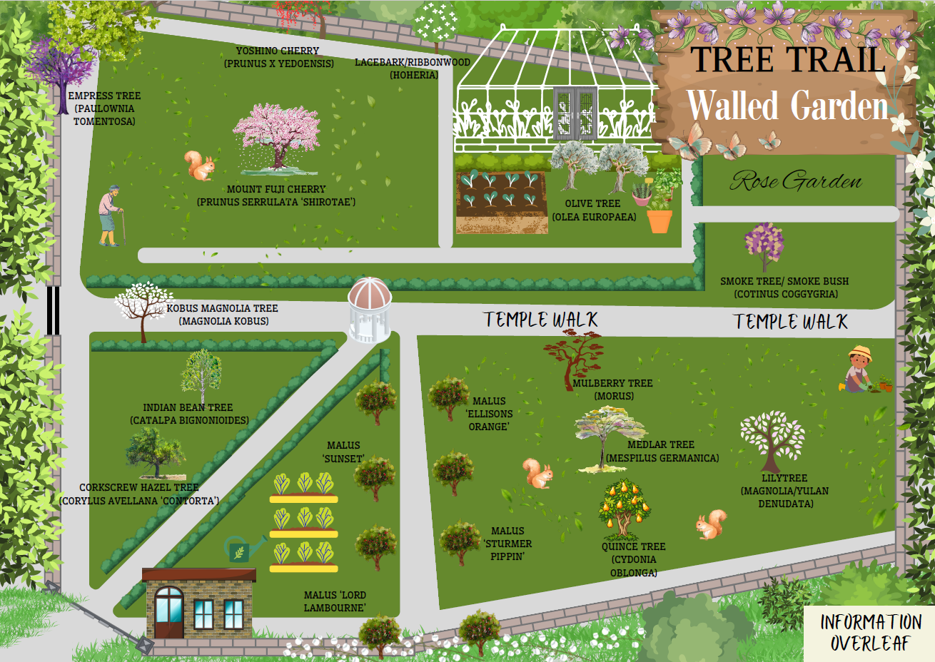 Map of trees in the walled garden