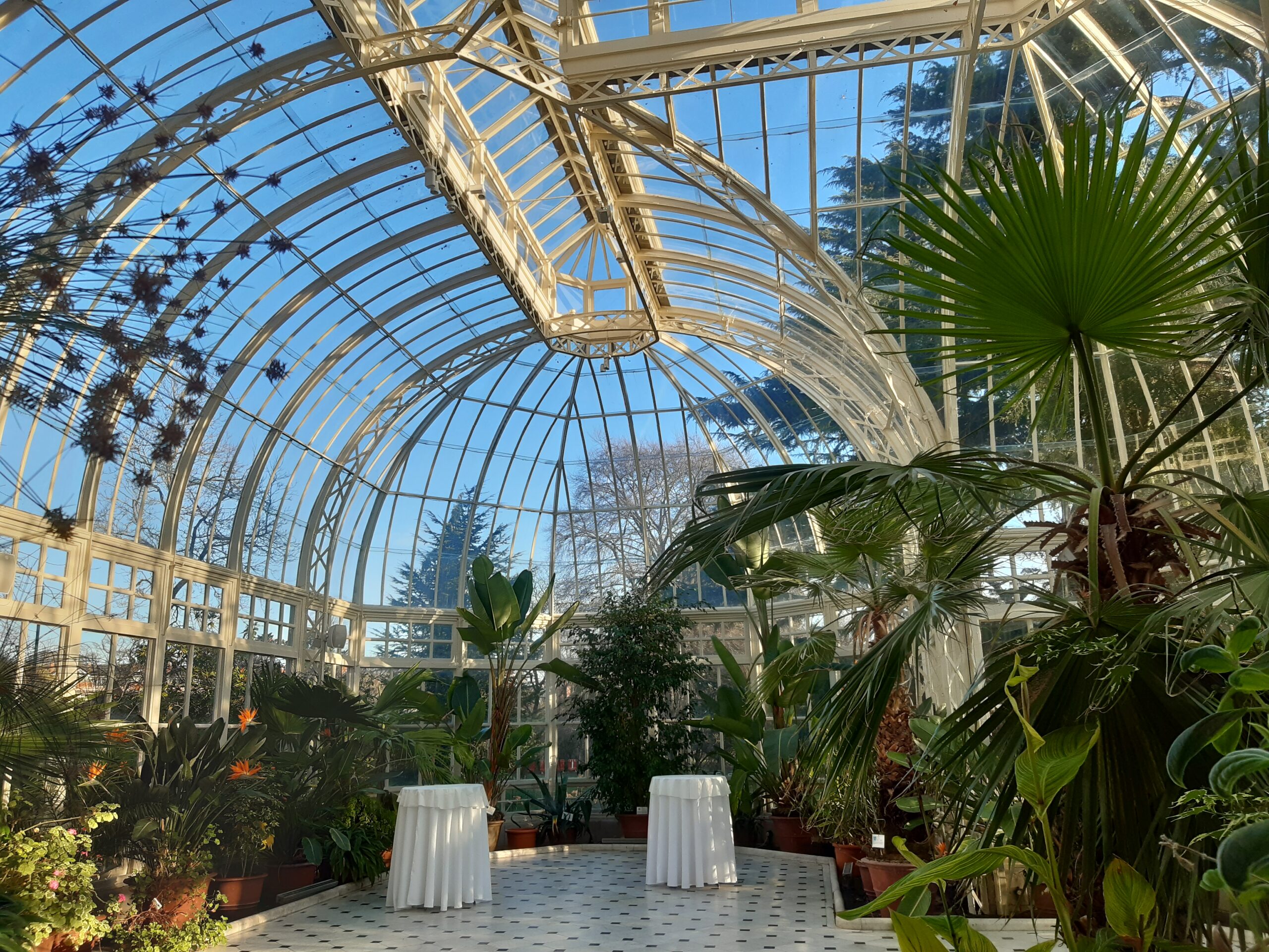 Edward Cecil Guinness' Conservatory featuring marble floor and palm trees 