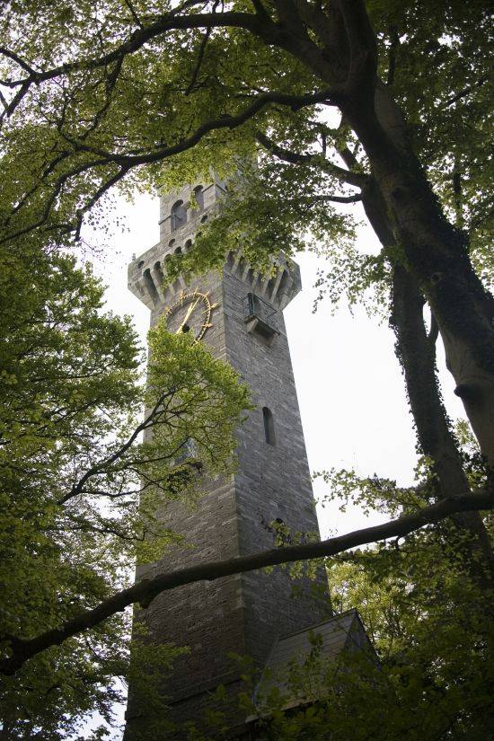 Picture of Farmleigh Clock Tower