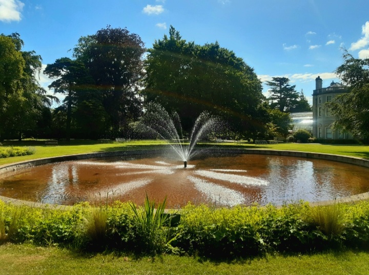 Introducing the trees at Farmleigh: The Fountain Lawn