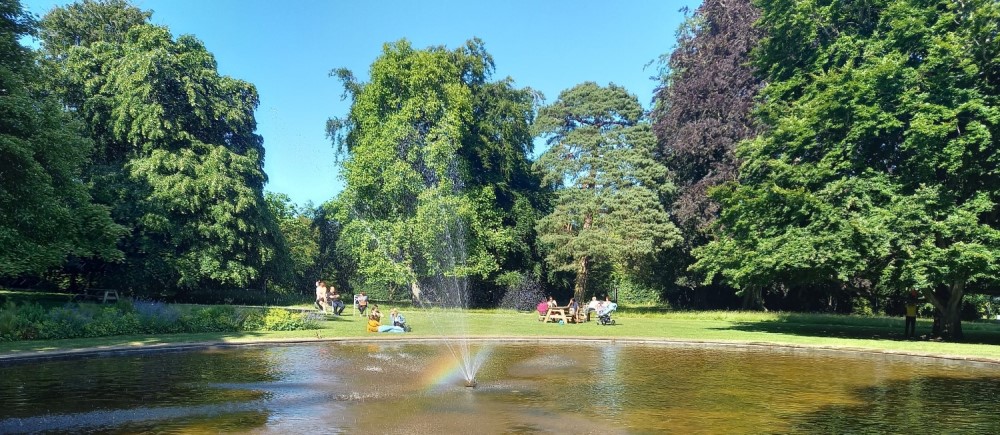 Farmleigh Tree Detectives Picture