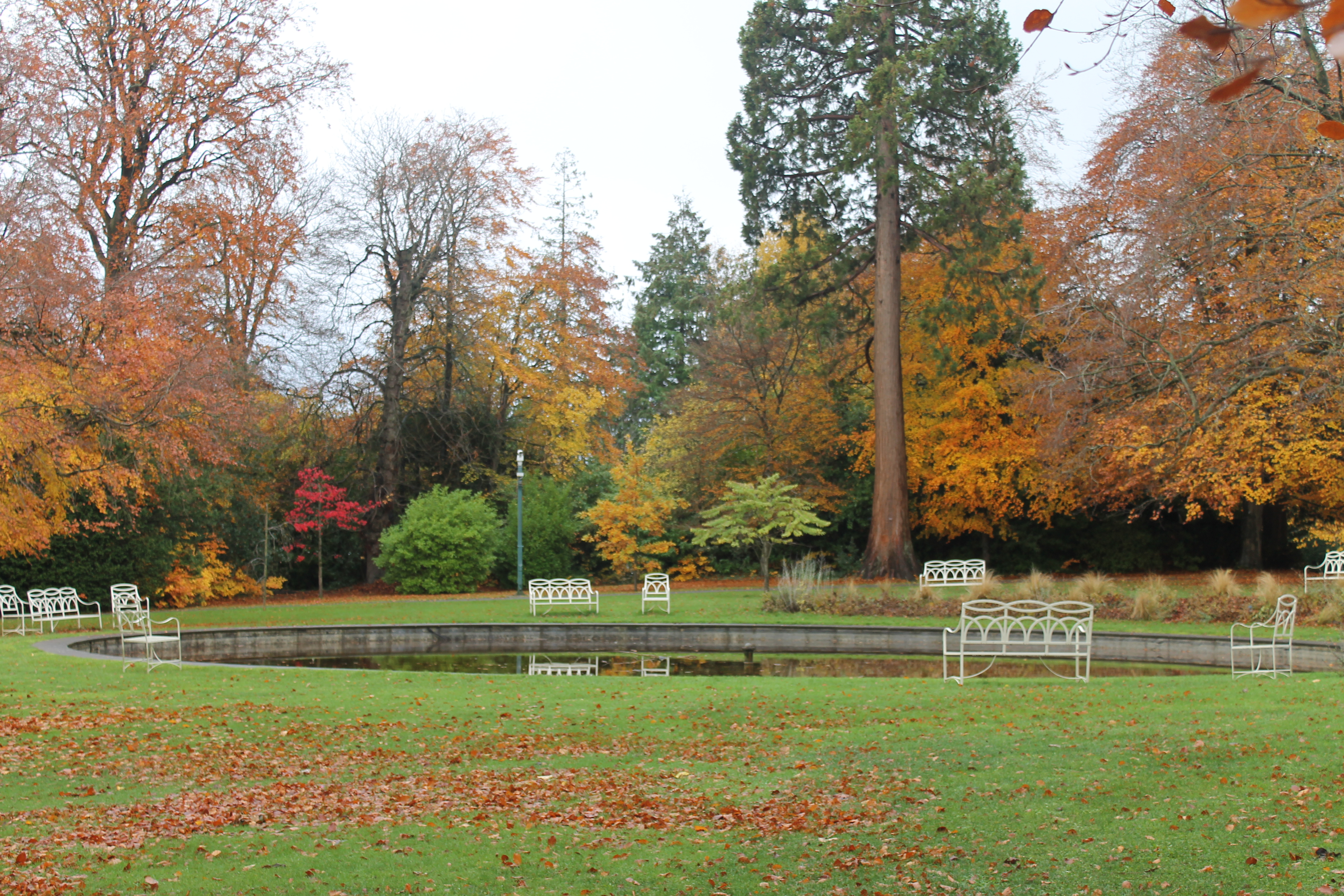 Colourful autumn trees on fountain lawn