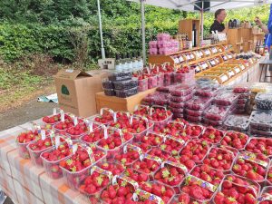 Fruit and berries on sale at Farmleigh market