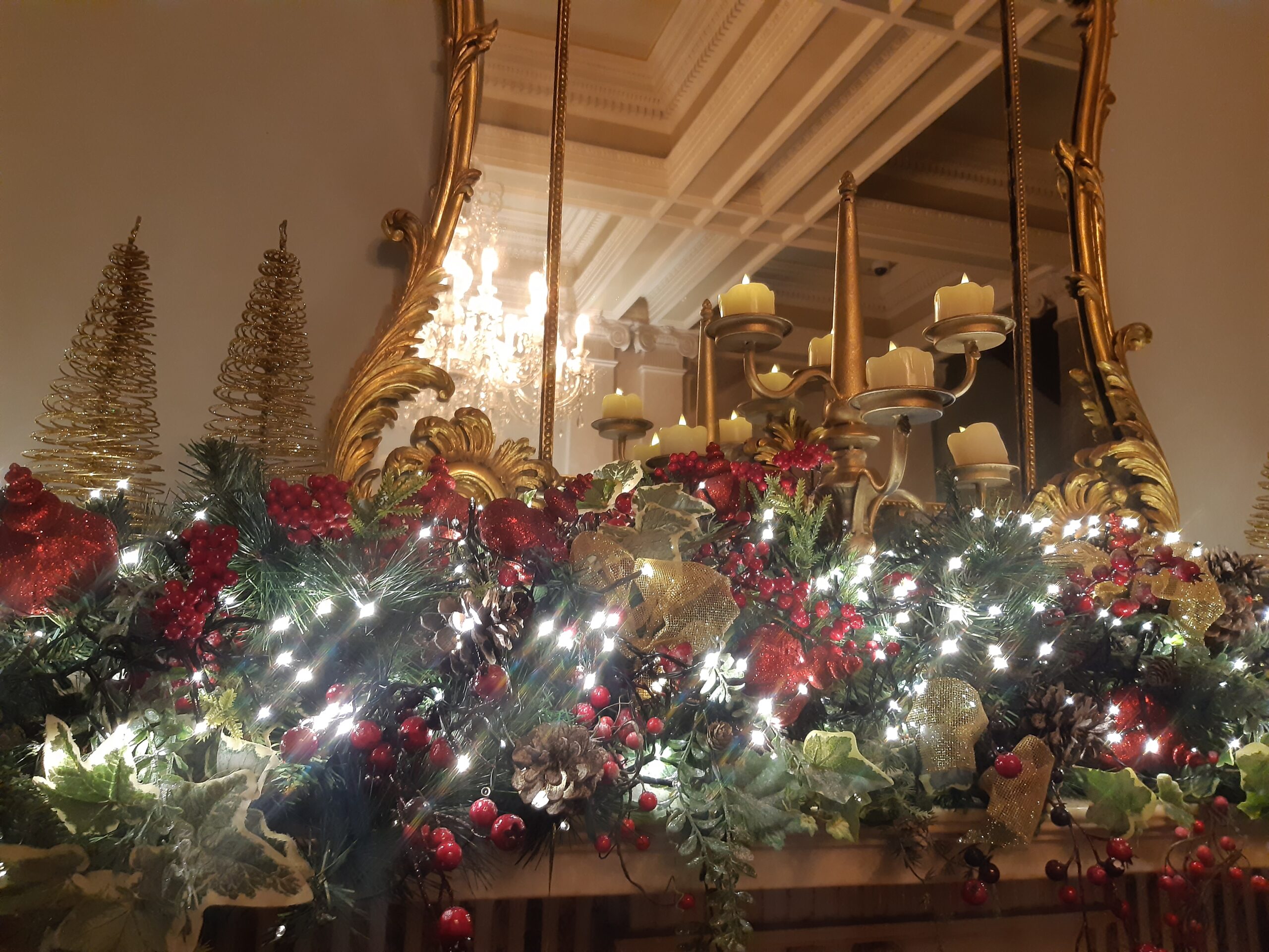 Christmas lights, shrubbery and decorations in front of gilded rococo mirror