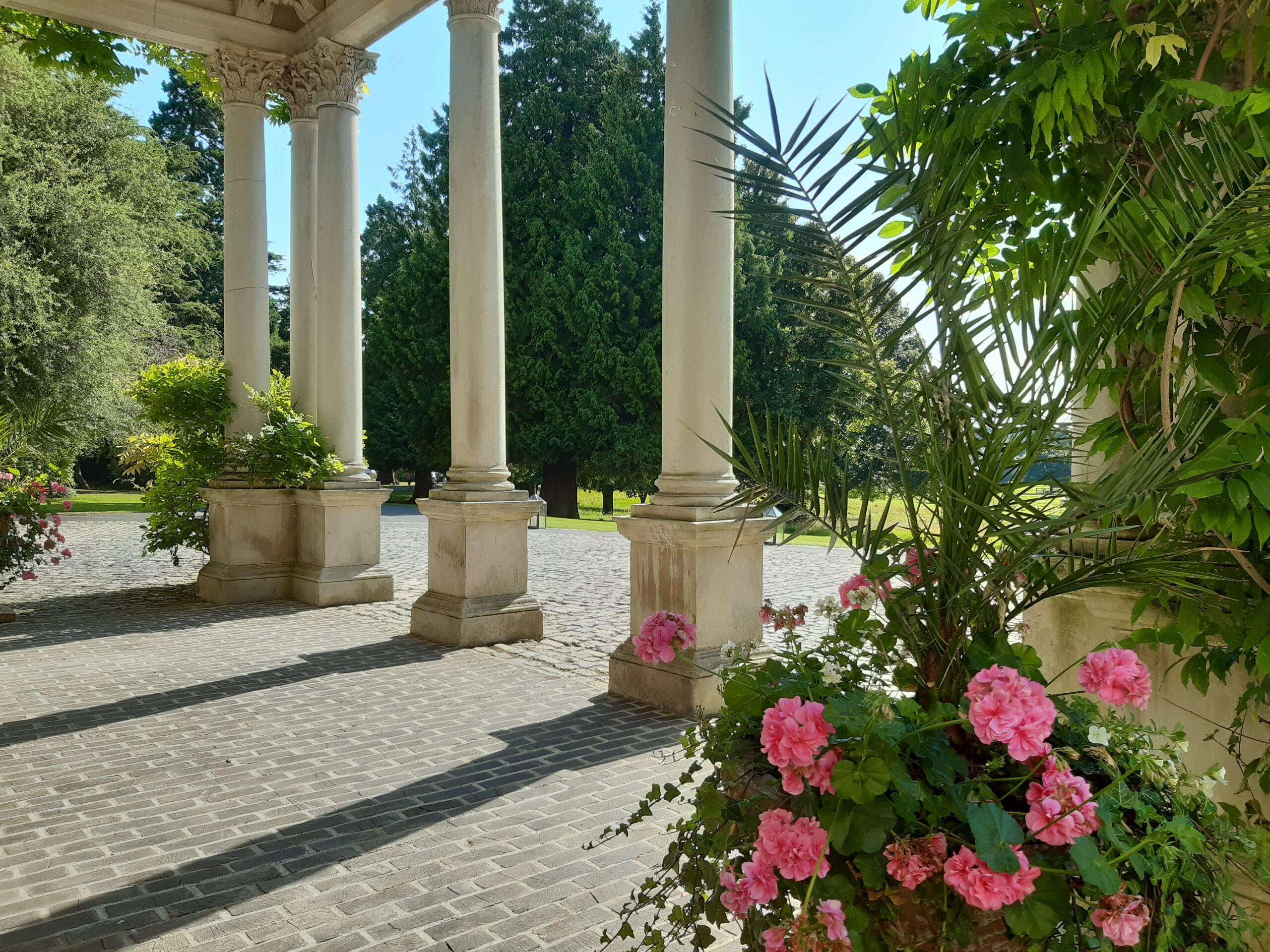 View of trees from under Portland stone pillared porch featuring vase of pink geraniums
