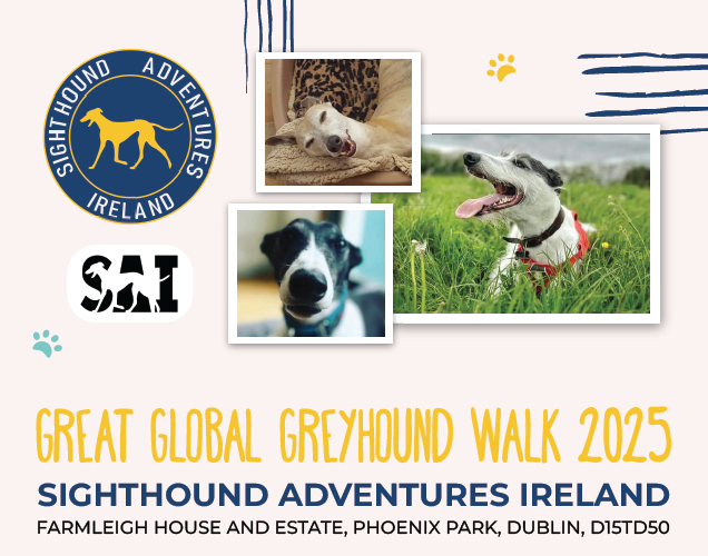 Greyhound Walk poster featuring photos of 3 dogs