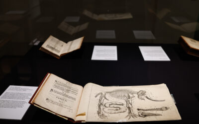 The Benjamin Iveagh Library: A History